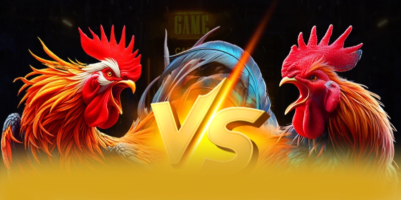 BET168 - Lời kết một cách chi tiết. BET168 - Lời kết một cách chi tiết.