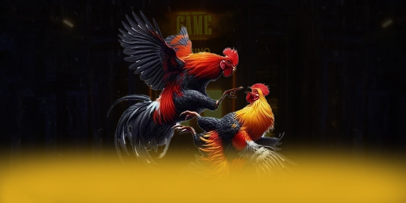 FB88 - Cổng giải trí cung cấp hàng trăm tựa game đẳng cấp 2026 FB88 - Cổng giải trí cung cấp hàng trăm tựa game đẳng cấp 2026