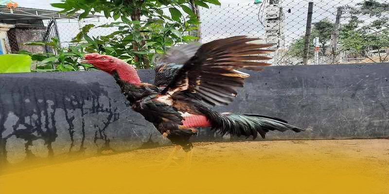 Tim hieu W88 - Trang game hang dau Viet Nam so 1 Viet Nam